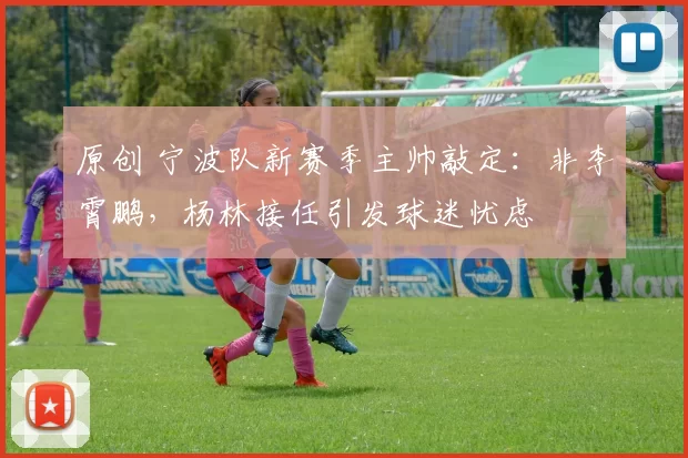 原创 宁波队新赛季主帅敲定：非李霄鹏，杨林接任引发球迷忧虑