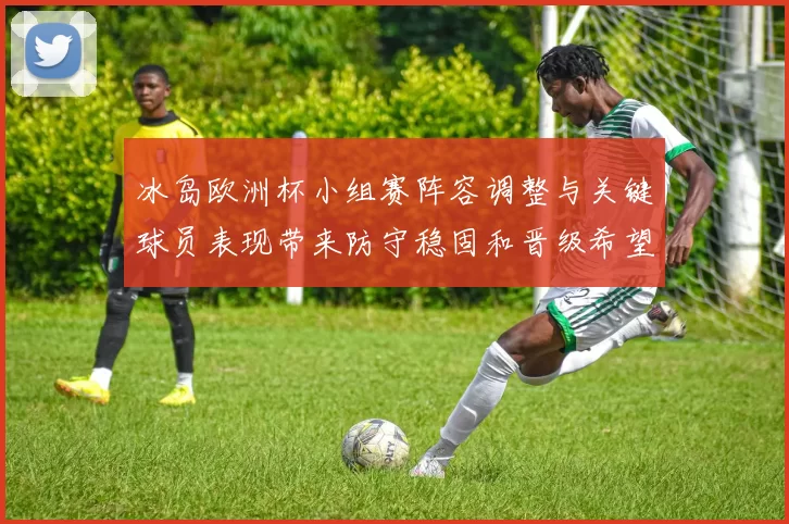 冰岛欧洲杯小组赛阵容调整与关键球员表现带来防守稳固和晋级希望