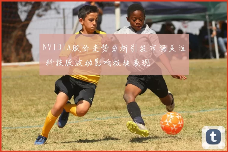 NVIDIA股价走势分析引发市场关注 科技股波动影响板块表现